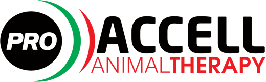 Accell Animal Therapy