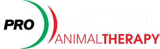 Accell Animal Therapy