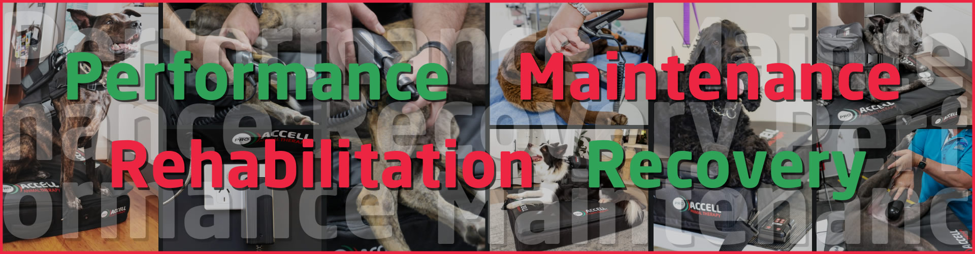 Performance Maintenance Rehabilitation Recovery